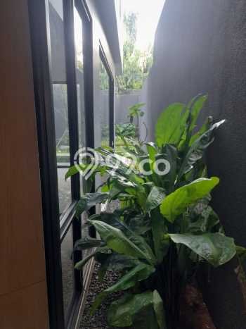 Rumah Luxury Modern Siap Huni di Kemang Jakarta Selatan Rumah Luxury Modern Siap Huni di Kemang Jakarta Selatan