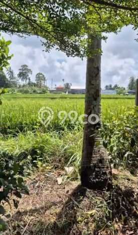Tanah Strategis Kawasan Kediri, Luas 510m², Cocok untuk Perumahan Tanah Strategis Kawasan Kediri, Luas 510m², Cocok untuk Perumahan