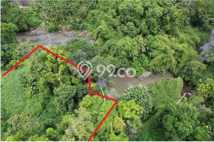 Tanah Kavling Dijual di Tabanan dengan Spesifikasi 5000m2 Tanah Kavling Dijual di Tabanan dengan Spesifikasi 5000m2