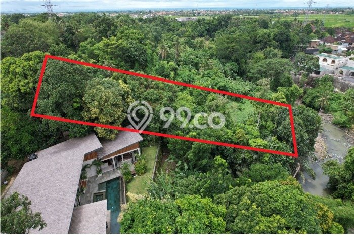 Tanah Kavling Dijual di Tabanan dengan Spesifikasi 5000m2 Tanah Kavling Dijual di Tabanan dengan Spesifikasi 5000m2