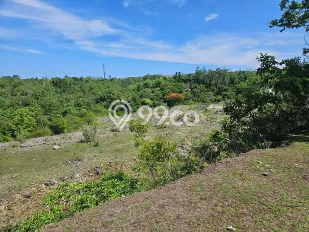 Tanah Siap Bangun Dijual di Badung Punya Luas 20575m2 Tanah Siap Bangun Dijual di Badung Punya Luas 20575m2