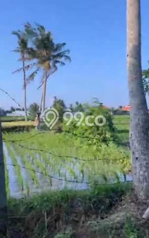 Tanah Strategis Kawasan Kediri, Luas 510m², Cocok untuk Perumahan Tanah Strategis Kawasan Kediri, Luas 510m², Cocok untuk Perumahan