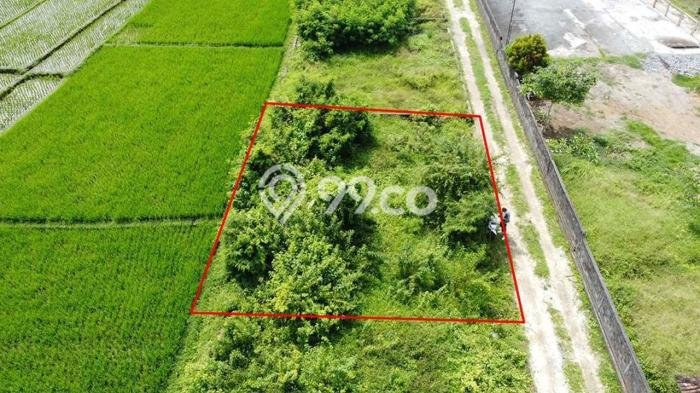 AREA PROSPEKTIF! Tanah Kawasan Kaba kaba, Luas 200m², Dekat Transportasi AREA PROSPEKTIF! Tanah Kawasan Kaba kaba, Luas 200m², Dekat Transportasi