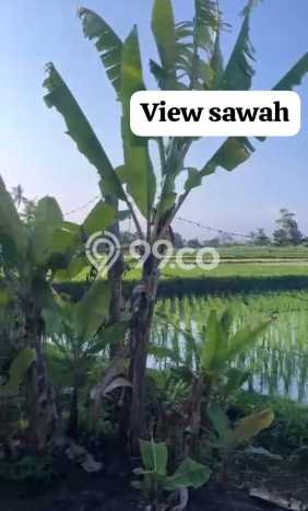 Tanah Strategis Kawasan Kediri, Luas 510m², Cocok untuk Perumahan Tanah Strategis Kawasan Kediri, Luas 510m², Cocok untuk Perumahan