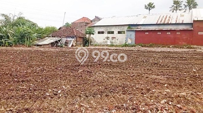Tanah Kavling untuk Disewa di Sukun Malang 2000m2 Tanah Kavling untuk Disewa di Sukun Malang 2000m2