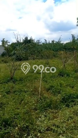 Tanah di Cibinong, Bogor Luas 9600m2 Dijual Segera Tanah di Cibinong, Bogor Luas 9600m2 Dijual Segera