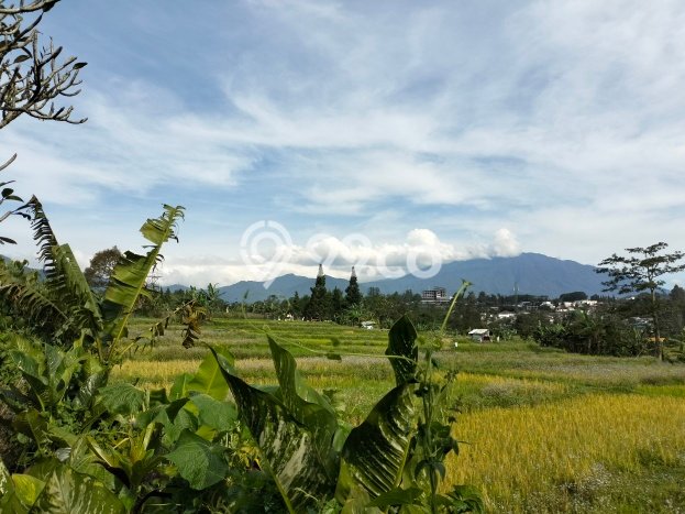 For Sale Rumah Mewah Exclusive di Cisarua, Bogor For Sale Rumah Mewah Exclusive di Cisarua, Bogor