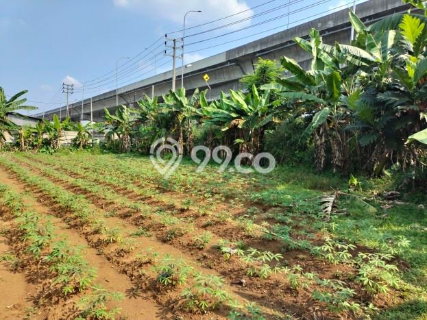 Kavling Tanah untuk Dijual di Curug Mekar, Bogor, Luas 1650m2 Kavling Tanah untuk Dijual di Curug Mekar, Bogor, Luas 1650m2