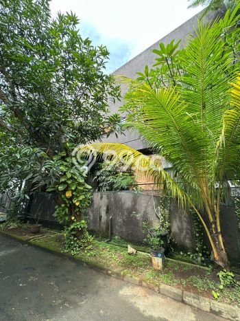 Jual Rumah Luas Elegan Dengan View Eksklusif di Sektor 9-Bintaro, Tangerang Selatan Jual Rumah Luas Elegan Dengan View Eksklusif di Sektor 9-Bintaro, Tangerang Selatan