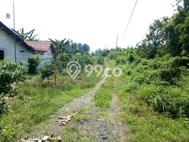 Tanah Kavling untuk Dijual di Warureja Tegal 11379m2 Tanah Kavling untuk Dijual di Warureja Tegal 11379m2