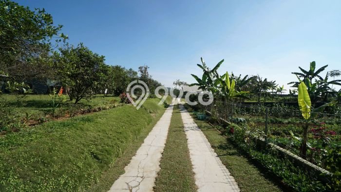 FOR SALE! Vila di Cipanas, Area 4565m2m², Posisi Premium FOR SALE! Vila di Cipanas, Area 4565m2m², Posisi Premium