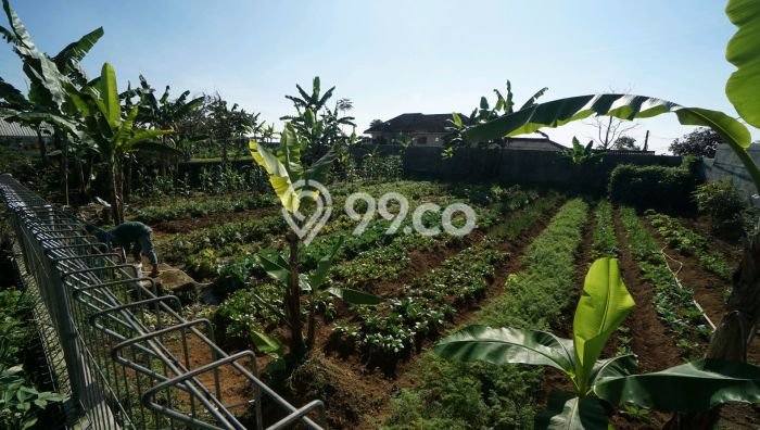 FOR SALE! Vila di Cipanas, Area 4565m2m², Posisi Premium FOR SALE! Vila di Cipanas, Area 4565m2m², Posisi Premium