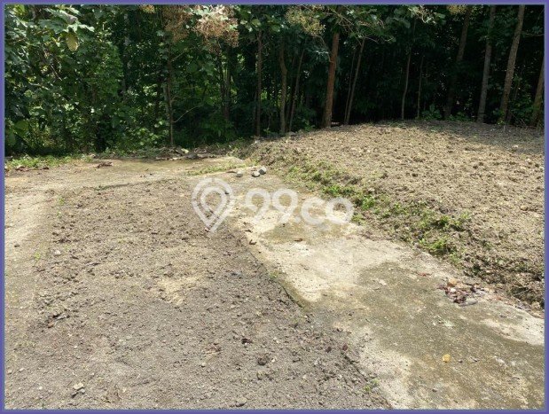 Tanah di Sleman Balecatur Gamping Siap Ajb Tanah di Sleman Balecatur Gamping Siap Ajb