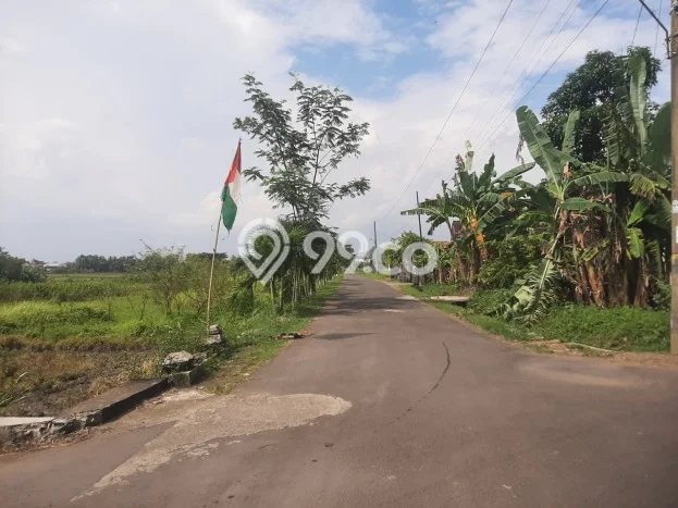 Tanah Dijual Area Strategis di Kulonprogo Yogyakarta 153m2 Tanah Dijual Area Strategis di Kulonprogo Yogyakarta 153m2