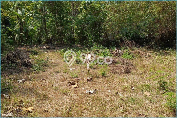 Tanah di Kasihan, Bantul Luas 160m2 Dijual Segera Tanah di Kasihan, Bantul Luas 160m2 Dijual Segera