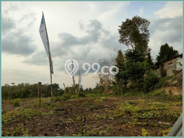 Properti Idaman 2 KT 2 KM Dekat Pusat Kota di Kasihan, Bantul Properti Idaman 2 KT 2 KM Dekat Pusat Kota di Kasihan, Bantul