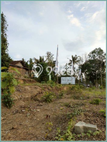 Properti Idaman 2 KT 2 KM Dekat Pusat Kota di Kasihan, Bantul Properti Idaman 2 KT 2 KM Dekat Pusat Kota di Kasihan, Bantul