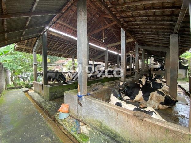 Komersial Dijual di Jakarta Timur LT 1700m2 & LB 1000m2 Lokasi Terbaik! Komersial Dijual di Jakarta Timur LT 1700m2 & LB 1000m2 Lokasi Terbaik!