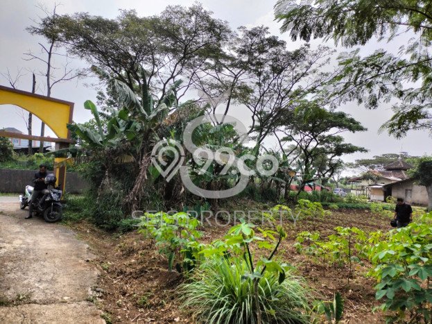 Lahan Dijual Lokasi Baleendah, Bandung dengan Luas Tanah 1040m2 dan Status SHM Lahan Dijual Lokasi Baleendah, Bandung dengan Luas Tanah 1040m2 dan Status SHM