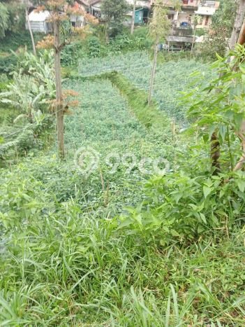 Tanah Kavling Dijual di Lembang, Bandung dengan Luas Tanah 1407m2 Tanah Kavling Dijual di Lembang, Bandung dengan Luas Tanah 1407m2