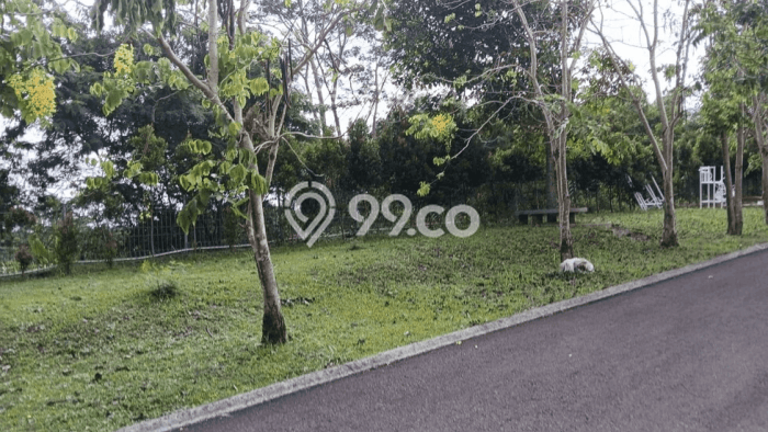 Rumah Luas Asri 2 KT Siap Pakai di Rancamaya Bogor Rumah Luas Asri 2 KT Siap Pakai di Rancamaya Bogor