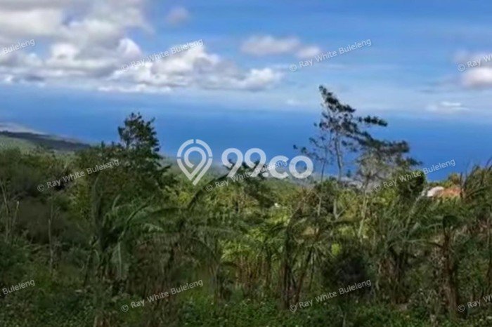 Tanah di Sukasada, Luas 4750m², Kawasan Berkembang, Akses Sukasada, Buleleng, Buleleng Tanah di Sukasada, Luas 4750m², Kawasan Berkembang, Akses Sukasada, Buleleng, Buleleng
