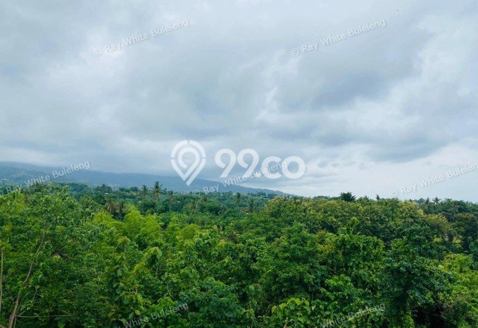 Tanah di Sukasada, Buleleng Luas 2625m2 Dijual Segera Tanah di Sukasada, Buleleng Luas 2625m2 Dijual Segera