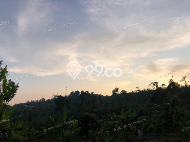 Tanah di Sukasada, Luas 4750m², Kawasan Berkembang, Akses Sukasada, Buleleng, Buleleng Tanah di Sukasada, Luas 4750m², Kawasan Berkembang, Akses Sukasada, Buleleng, Buleleng