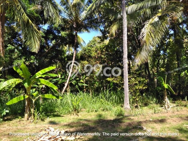 Lahan Dijual Lokasi Strategis di Buleleng dengan Luas 1500m2 Lahan Dijual Lokasi Strategis di Buleleng dengan Luas 1500m2