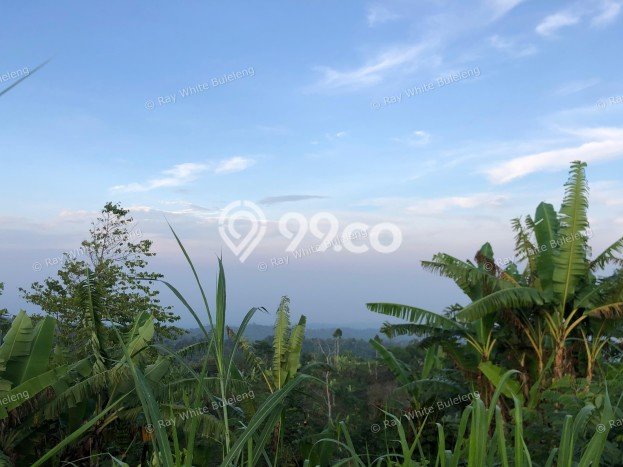 Tanah di Sukasada, Luas 4750m², Kawasan Berkembang, Akses Sukasada, Buleleng, Buleleng Tanah di Sukasada, Luas 4750m², Kawasan Berkembang, Akses Sukasada, Buleleng, Buleleng