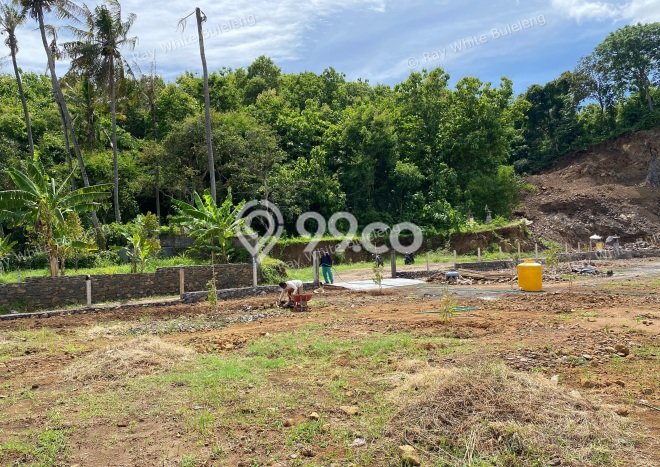 Dijual Tanah di Buleleng, Luas 1800m2 SHM Dijual Tanah di Buleleng, Luas 1800m2 SHM