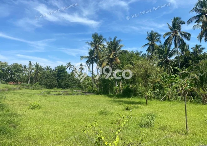 Kavling Tanah untuk Dijual di Kaliasem, Buleleng, Luas 210m2 Kavling Tanah untuk Dijual di Kaliasem, Buleleng, Luas 210m2