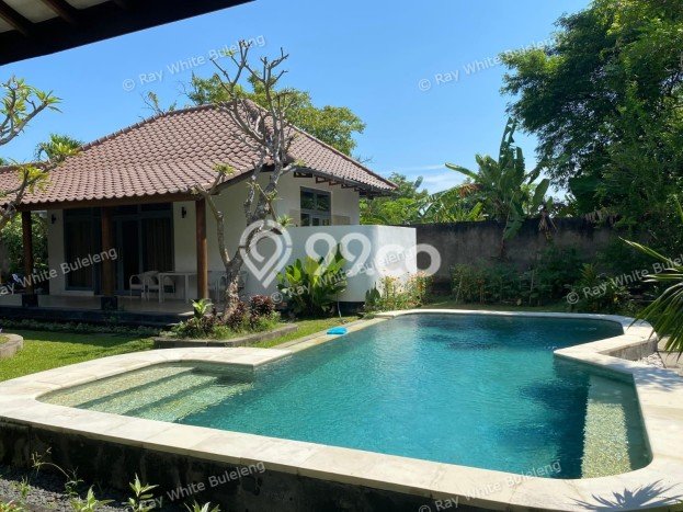 Rumah Asri area Lovina, Buleleng, Luas 800m² Bangunan 296m² Rumah Asri area Lovina, Buleleng, Luas 800m² Bangunan 296m²
