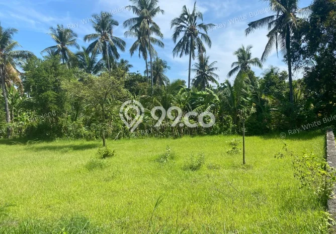 Kavling Tanah untuk Dijual di Kaliasem, Buleleng, Luas 210m2 Kavling Tanah untuk Dijual di Kaliasem, Buleleng, Luas 210m2