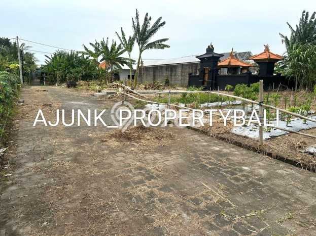 Kavling Tanah untuk Dijual di Kedungu, Tabanan, Luas 100m2 Kavling Tanah untuk Dijual di Kedungu, Tabanan, Luas 100m2