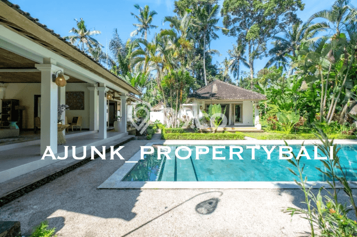 HARGA TERBAIK! Vila Kawasan Ubud, Ukuran 4000m2m², Kawasan Berkembang dengan nilai meningkat HARGA TERBAIK! Vila Kawasan Ubud, Ukuran 4000m2m², Kawasan Berkembang dengan nilai meningkat
