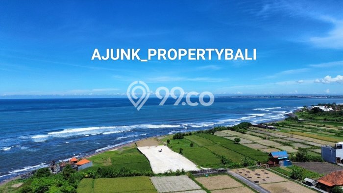 Tanah Kavling Dijual di Ketewel, Gianyar dengan Luas Tanah 2750m2 Tanah Kavling Dijual di Ketewel, Gianyar dengan Luas Tanah 2750m2