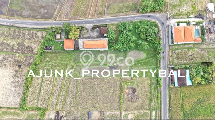 Tanah Kavling Dijual di Tabanan dengan Spesifikasi 100m2 Tanah Kavling Dijual di Tabanan dengan Spesifikasi 100m2