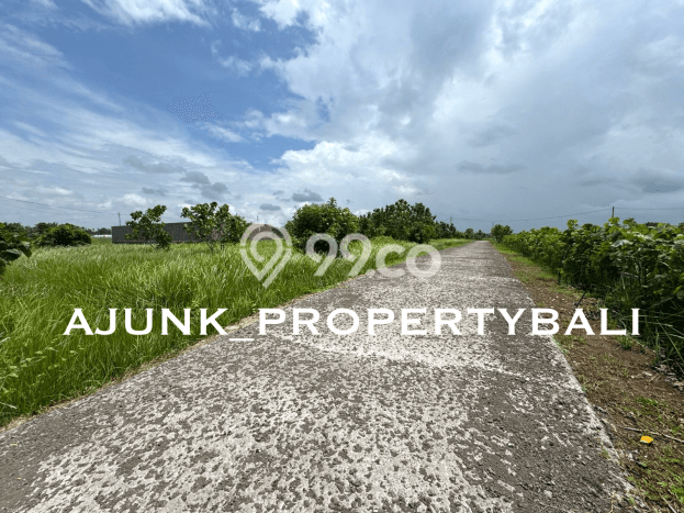Untuk Dijual Tanah 500m2 di Kedungu, Tabanan Untuk Dijual Tanah 500m2 di Kedungu, Tabanan