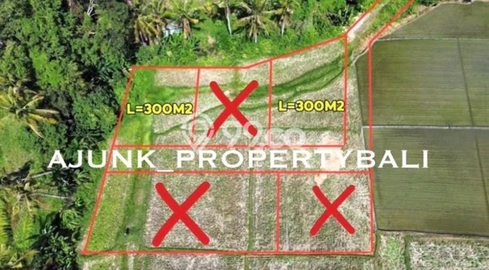 Dijual Tanah Lokasi Kaba kaba, Tabanan Seluas 300m2 Dijual Tanah Lokasi Kaba kaba, Tabanan Seluas 300m2