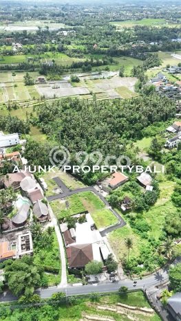 Tanah Kosong Dijual di Gianyar dengan Area 150m2 Tanah Kosong Dijual di Gianyar dengan Area 150m2