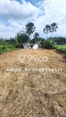 Tanah Kosong Dijual di Gianyar dengan Area 276m2 Tanah Kosong Dijual di Gianyar dengan Area 276m2