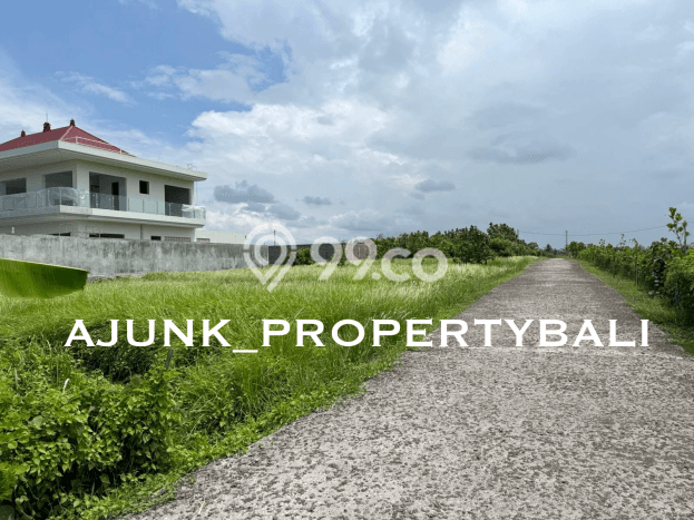 Untuk Dijual Tanah 500m2 di Kedungu, Tabanan Untuk Dijual Tanah 500m2 di Kedungu, Tabanan