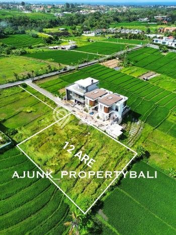 Dijual Tanah di Badung, Luas 1200m2 SHM Dijual Tanah di Badung, Luas 1200m2 SHM