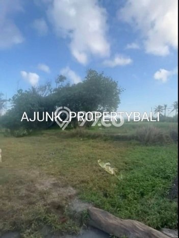 Tanah Dijual Lokasi Kerambitan, Tabanan Luas 850m2 Legalitas Aman Tanah Dijual Lokasi Kerambitan, Tabanan Luas 850m2 Legalitas Aman