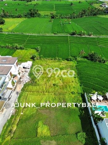 Dijual Tanah di Badung, Luas 1200m2 SHM Dijual Tanah di Badung, Luas 1200m2 SHM