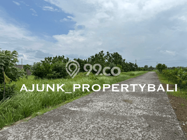 Untuk Dijual Tanah 500m2 di Kedungu, Tabanan Untuk Dijual Tanah 500m2 di Kedungu, Tabanan