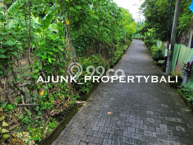 Tanah Dijual di Denpasar Seluas 1000m2 Strategis Tanah Dijual di Denpasar Seluas 1000m2 Strategis