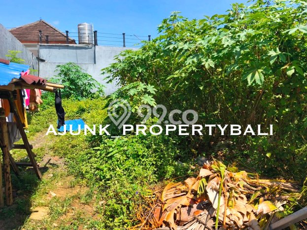 Tanah Dijual Area Strategis di Jimbaran Badung 146m2 Tanah Dijual Area Strategis di Jimbaran Badung 146m2