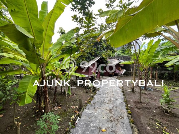 Tanah Dijual di Denpasar Seluas 1000m2 Strategis Tanah Dijual di Denpasar Seluas 1000m2 Strategis